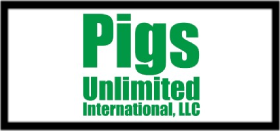 pigs